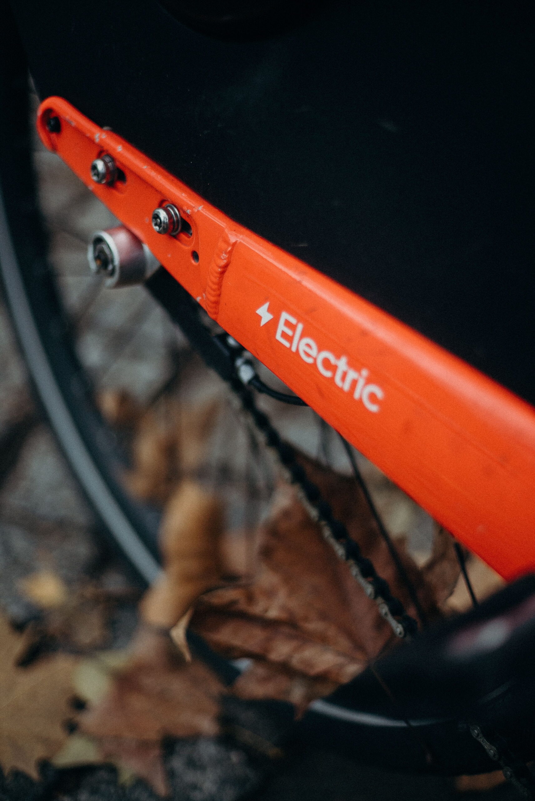 Best Electric Tricycle for Adults