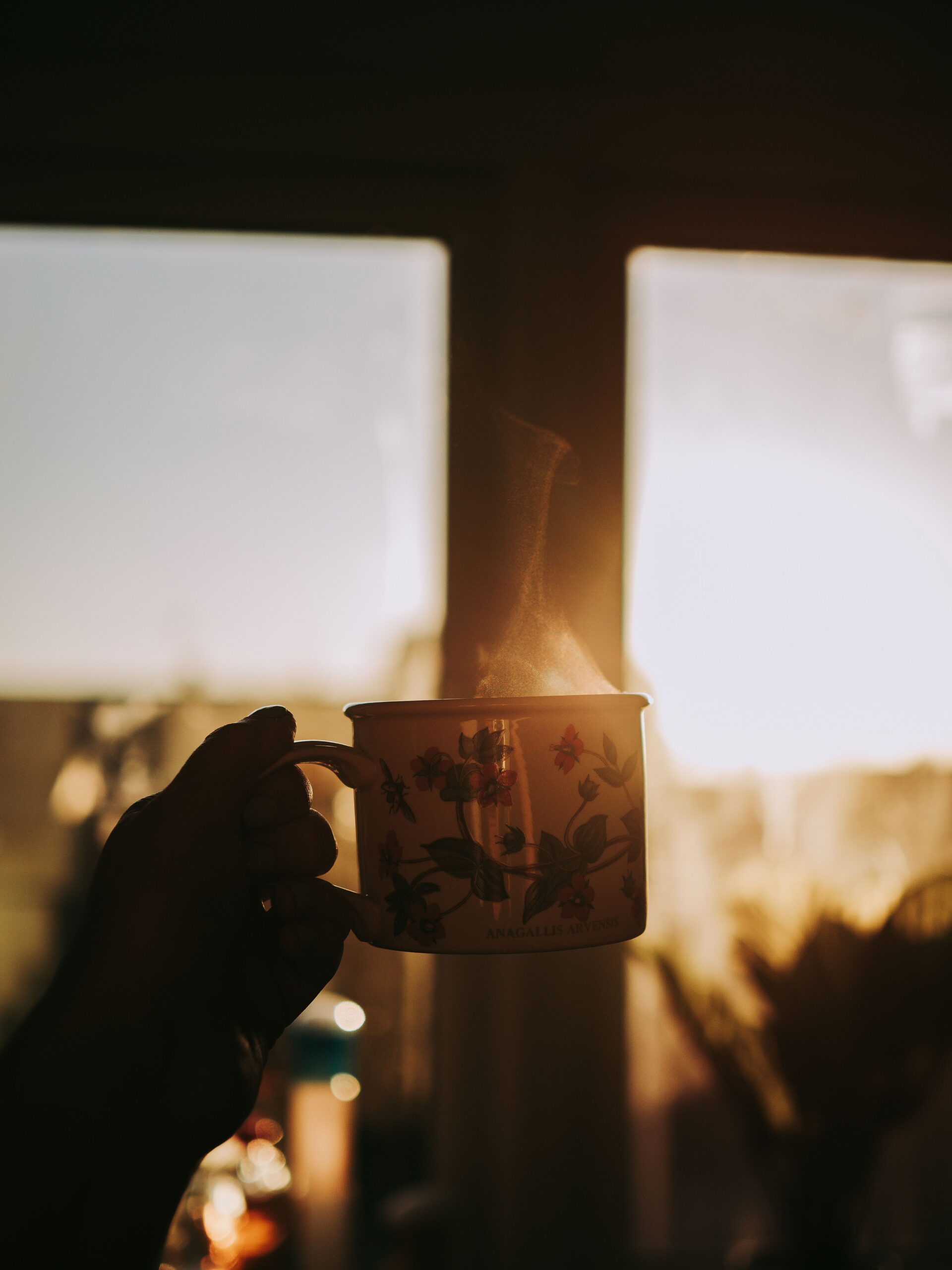 Healthy Morning Habits to Start Your Day Right