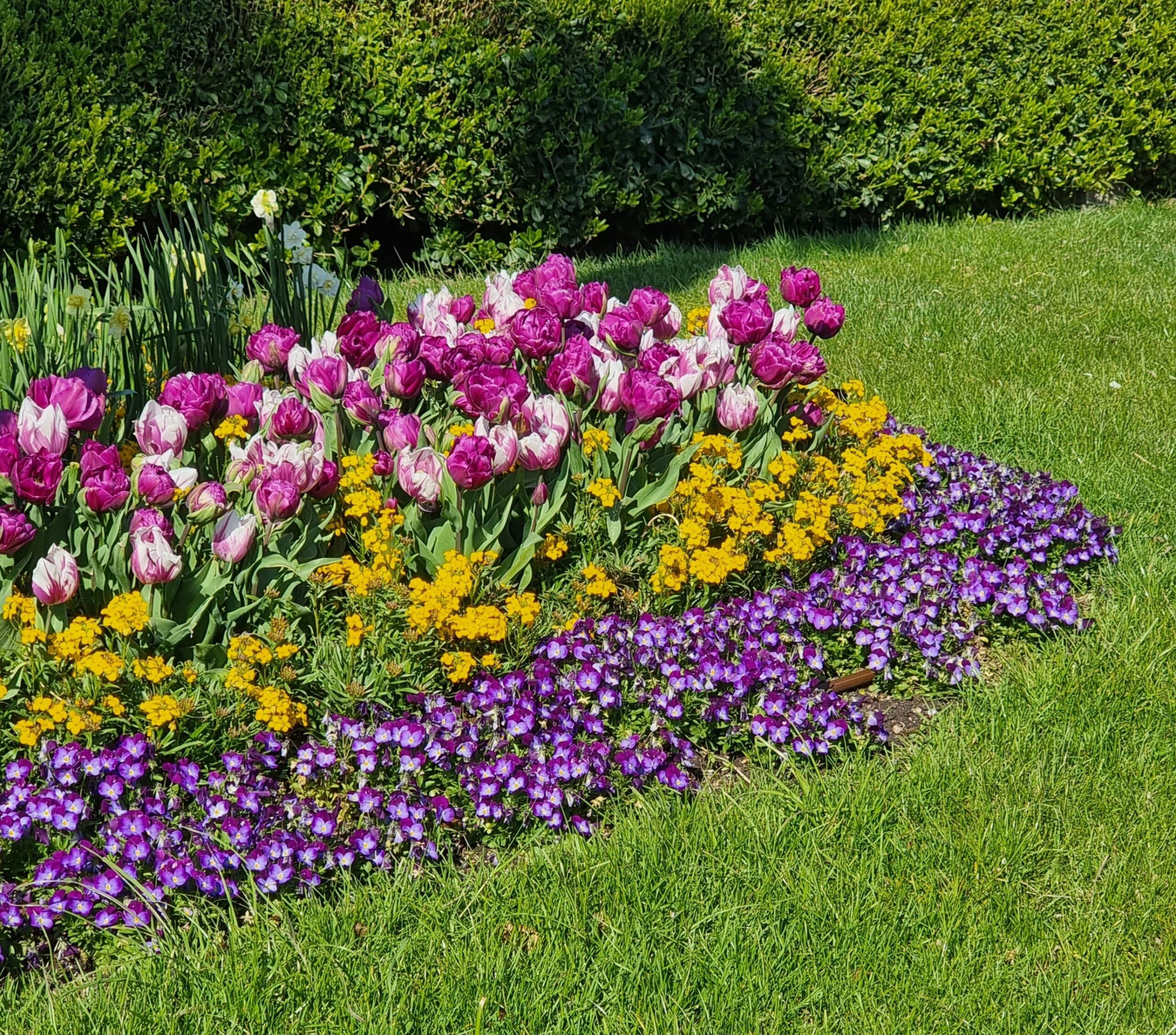 creating a home garden